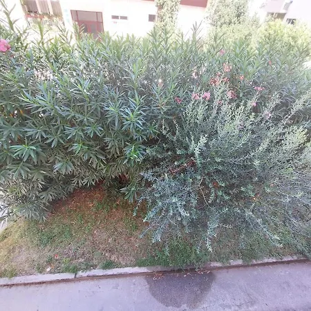 Fragolina Apartment *